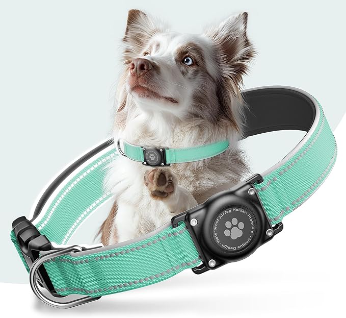 Airtag Dog Collar - 100% Waterproof Air tag Dog Collar Holder for Apple AirTag, Reflective, Soft Padded, Everlasting, GPS Dog Collar for Small Medium Large Dogs (Teal, XL)-Mewly Pet