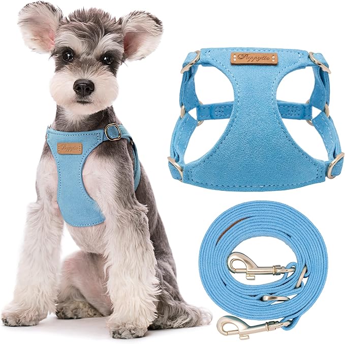 Puppytie No Pull Dog Harness with Multifunction Dog Leash,Soft Adjustable No Choke Escape Proof Pet Harness Vest for Medium Dogs or Large Dogs,Ocean Blue,M-Mewly Pet