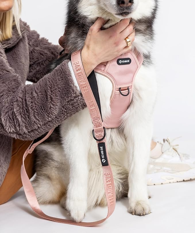 2025 New Edition, Fei & Eve MagEase Dog Harness - 3-Second Magnetic Buckles | 3-Point No-Pull Control | Heavy-Duty 900D Nylon | Dual Safety Handles | Breathable Mesh | Adjustable Fit | Small, Pink-Mewly Pet