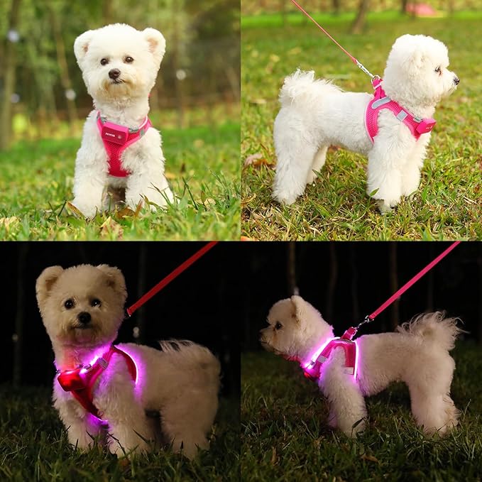 Light Up Dog Harness,Rechargeable LED Dog Harness for Small Medium Large Dogs,Reflective Lighted Safety Vest for Night Walking & Camping,Lightweight & Adjustable,Pink,XS-Mewly Pet