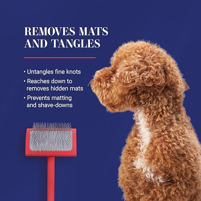 Chris Christensen Baby G Dog Slicker Brush for Dogs (Goldendoodles, Labradoodles, Poodles), Groom Like a Professional, Fluff Detangle Style, Saves Time Energy, Coral, Small-Mewly Pet