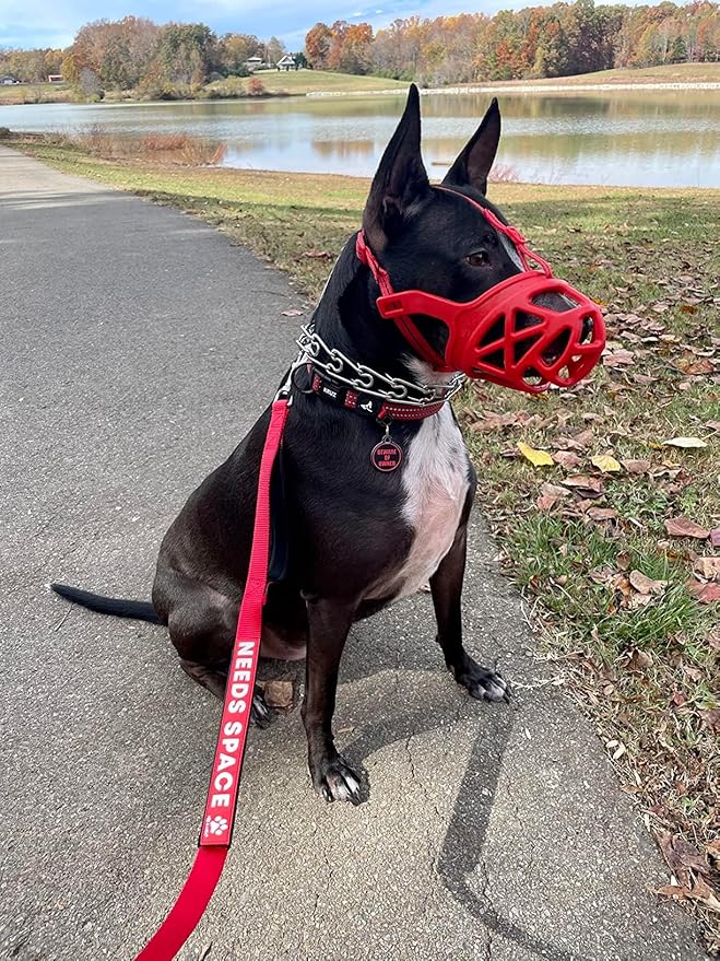 Mayerzon Dog Muzzle, Breathable Basket Muzzles for Small, Medium, Large and X-Large Aggressive Dogs Beagle German Shepherd Doberman, Cage Mouth Guard Stop Biting Chewing for Grooming Training-Mewly Pet