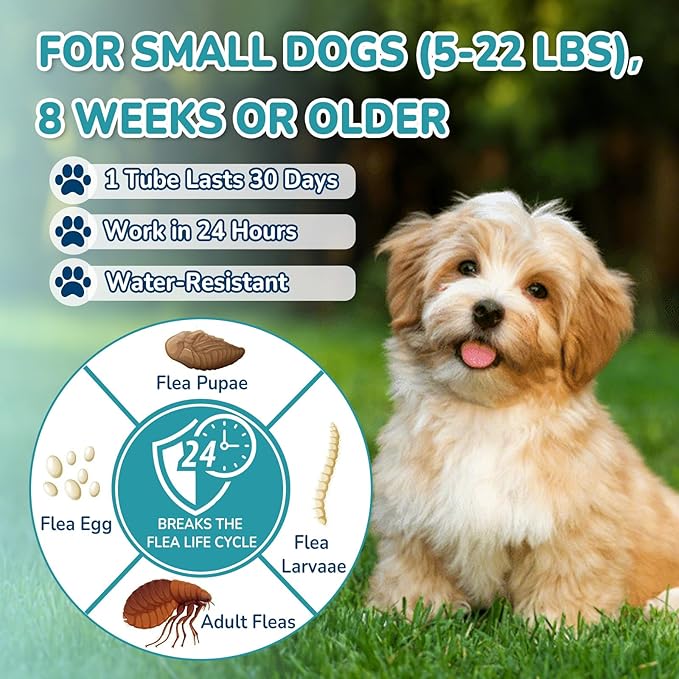 Flea and Tick Prevention for Small Dogs, 6-Month Supply Dog Flea and Tick Treatment Drops, Topical Fast-Acting Dog Flea Treatment for Small Dogs Up to 5 to 22 lbs-Mewly Pet