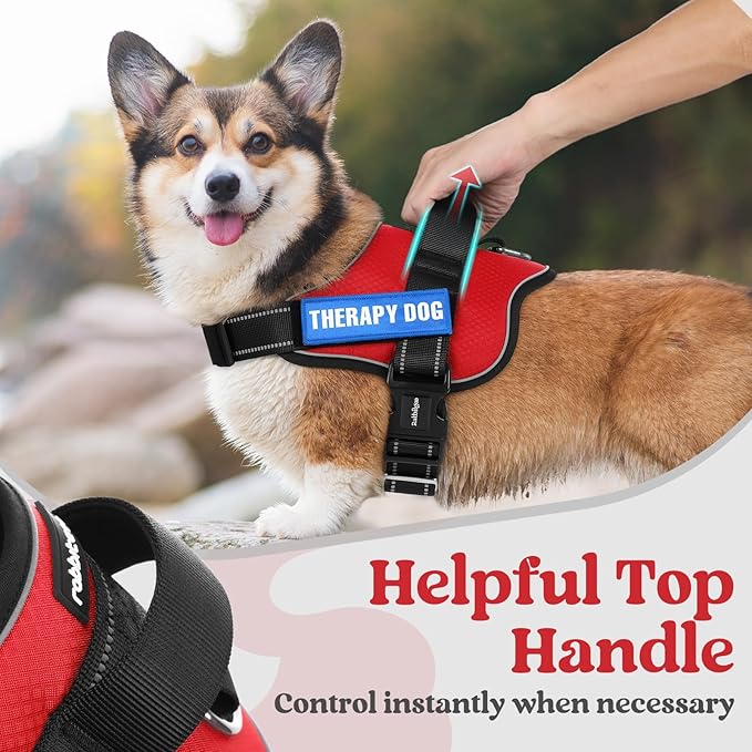 rabbitgoo Dog Harness for Small, Easy On Pet Vest with One Buckle, No Pull Adjustable Service Harness with D-Ring & Handle, Reflective for Safety Walking, Training, Red, S-Mewly Pet