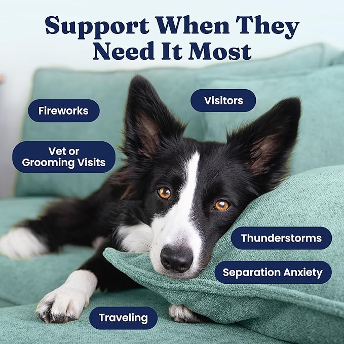 Solid Gold Calming Chews for Dogs - Dog Calming Chews w/Melatonin for Separation, Stress & Hyperactivity Relief - Supports Relaxation for Travel, Fireworks & Storms - All Ages & Sizes - Bacon 120ct-Mewly Pet