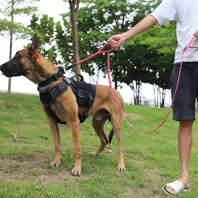 ICEFANG Tactical Dog Leash,K9 Training Walking Bungee Lead with 2 Control Handle,Heavy Duty Quick Release Metal Clasp,for Medium Large Breed (Reflective Pink, 6 FT)-Mewly Pet