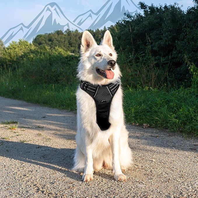 Eagloo Dog Harness for Large Dogs, No Pull Service Vest with Reflective Strips and Control Handle, Adjustable and Comfortable for Walking, No Choke Pet Harness with 2 Metal Rings, Black, XL-Mewly Pet