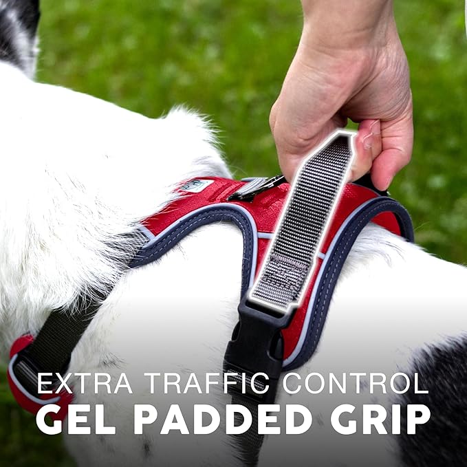 Embark Adventure Dog Harness, Reflective Trim No Pull Dog Harnesses for Small Sized Dogs - Military Grade Nylon, Front Clip with Gel Lined Handle.-Mewly Pet