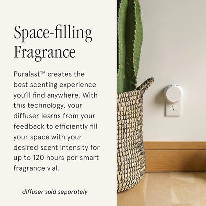 Pura and Aromatique - Fragrance for Smart Home Air Diffusers - Room Freshener - Aromatherapy Scents for Bedrooms & Living Rooms - Odor Eliminator - 2 Pack - The Smell of Christmas