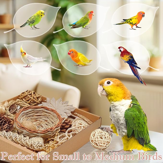 Natural Bird Foraging & Shredding Toys Box - Handmade Rattan Chewing Toys for Parakeets, Cockatiels, Conures, Lovebirds & Small to Medium Birds-Mewly Pet