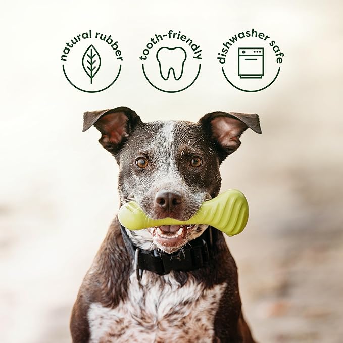 Benebone 2-Pack Bacon Wishbone/Rubber Bone Medium-Mewly Pet