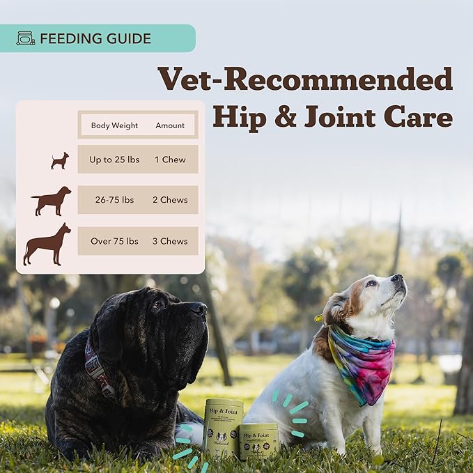 Natural Dog Company Hip & Joint Chews for Dogs with Glucosamine for Dogs + Chondroitin, MSM & Turmeric, Supports Mobility & Reduces Discomfort, Stiffness, Natural Pain Relief Joint Supplement. 180 Ct-Mewly Pet