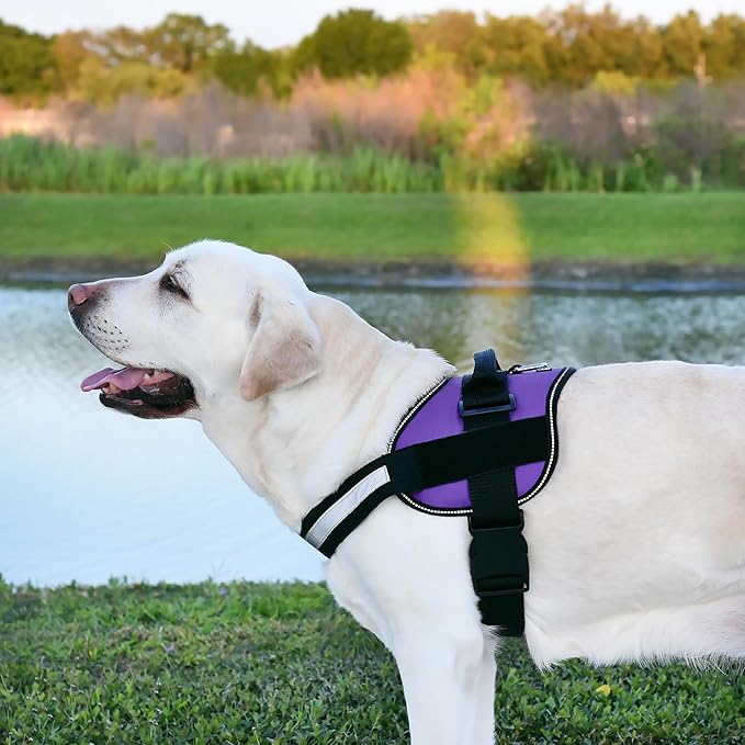 Dogline Dog Harness, Reflective No-Pull Adjustable Vest with Handle for Walking, Training, Breathable, No - Choke Harness for Small, Medium or Large Dogs Room for Patches Girth 15 to 18 in Purple-Mewly Pet