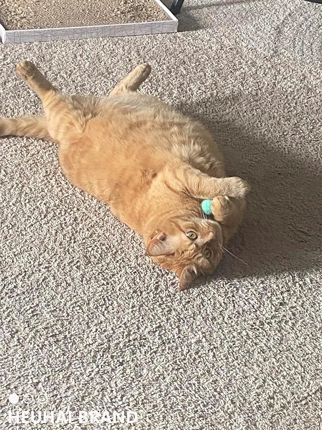 80-Pack Cat Toy Balls 10 Assorted Colors 1.25 Inch Diameter Suitable for All Cat Sizes (Cat Toys Value Pack)-Mewly Pet