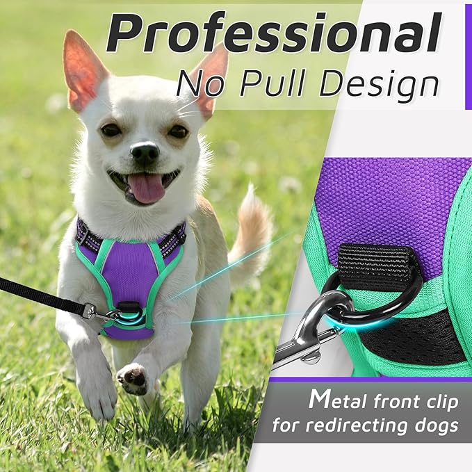Eagloo Small Dog Harness No Pull, Service Vest with Reflective Strips and Control Handle, Adjustable and Comfortable for Walking, No Choke Pet Harness with 2 Metal Rings, Purple & Green, XS-Mewly Pet