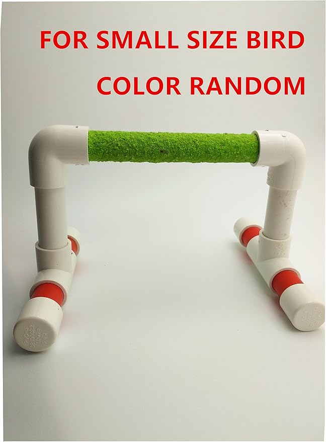 Hypeety Small Bird Parrot Stand Perch Table Top Stand Playground Grind Perch Swing Training Playstand Exercise Chew Toys for Budgies Parakeet Cockatiel Conure Finch (Stainless Steel Tray, L)-Mewly Pet