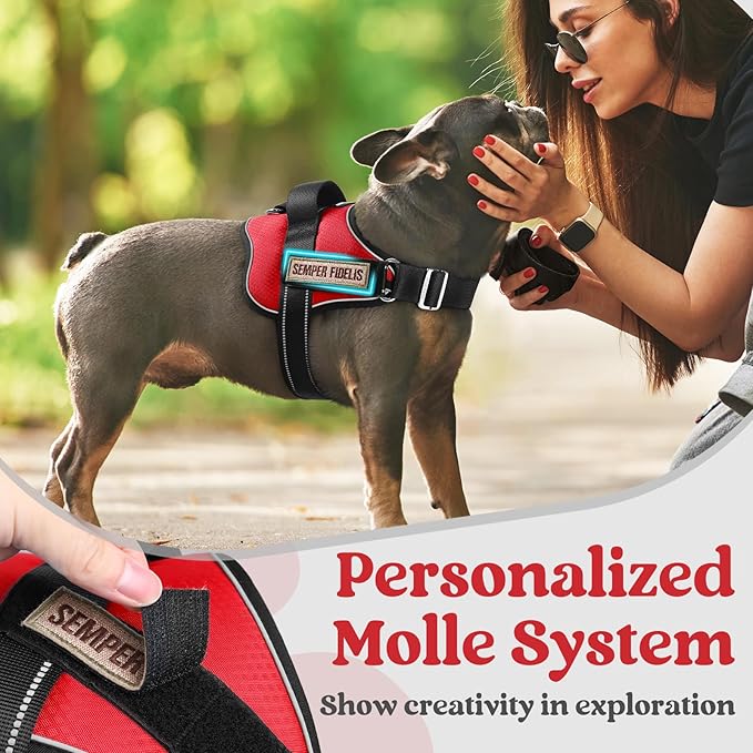 rabbitgoo Dog Harness for Large, Easy On Pet Vest with One Buckle, No Pull Adjustable Service Harness with D-Ring & Handle, Reflective for Safety Walking, Training, Red, L-Mewly Pet