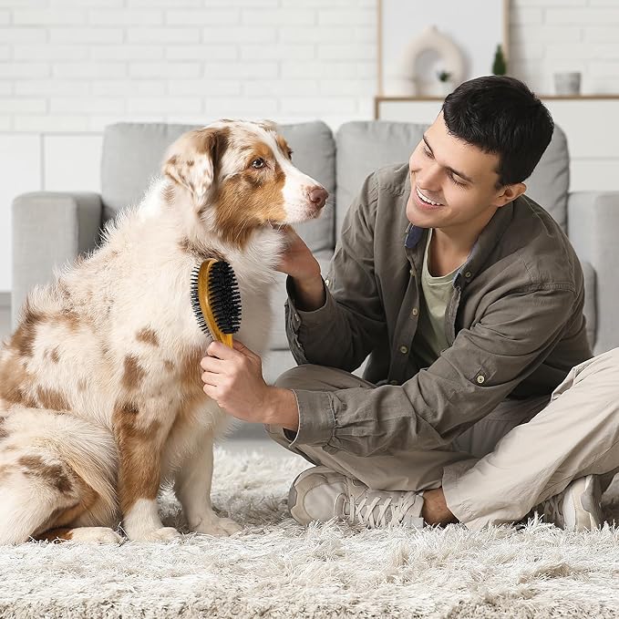 TAKAVU Pin & Bristle Pet Brush for Dogs & Cats - Double Sided Grooming Tool Detangles, Removes Loose Hair & Conditions Coat - Wood Handle-Mewly Pet