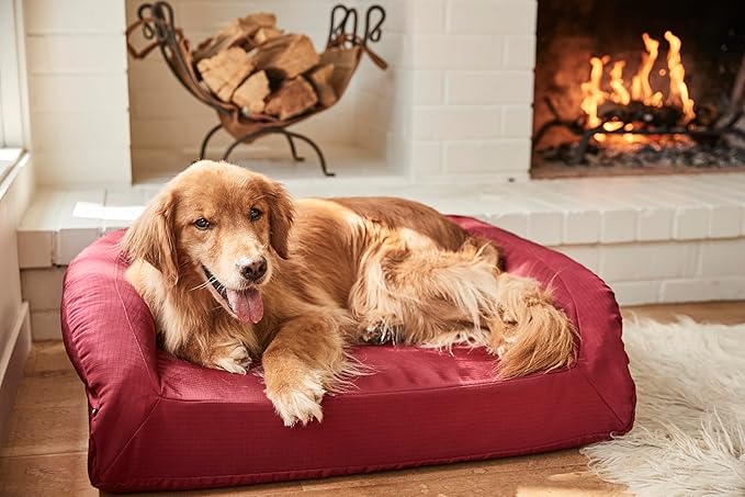 K9 Ballistics Tough Bolster Orthopedic Sofa Dog Bed with Removable Washable Cover - Durable, Water Resistant with Nonskid Bottom - X-Large, Titanium Premium Finish-Mewly Pet