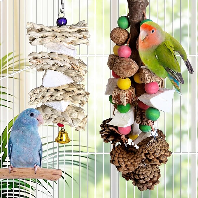 kathson Parrot Chew Toys, Medium Size Natural Wooden Bird Toys with Colorful Blocks, Hanging Bird Cage Accessories for Cockatiels, Conure, Cockatoos, 2 Pack (Style B)-Mewly Pet