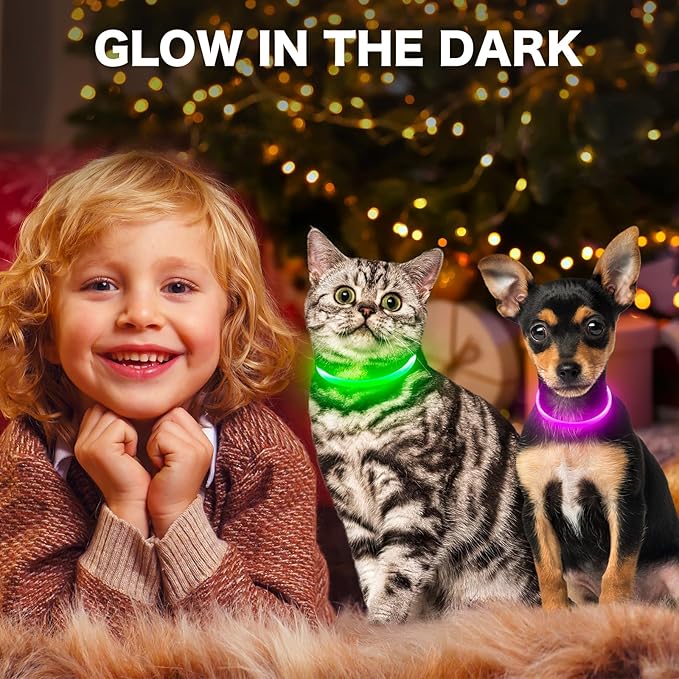 BSEEN Light Up Dog Collar - Rainproof Rechargeable LED Dog Collar - TPU Cuttable Glowing Pet Collar for Small Dogs& Cats - Puppy Safety Dog Lights for Night Walking (XS- Green 40cm)-Mewly Pet