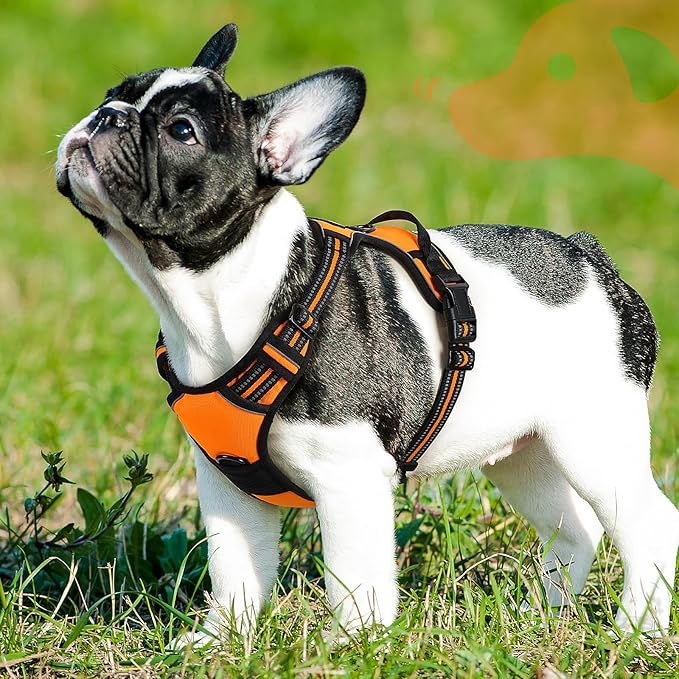 Eagloo Dog Harness Small Sized Dog, No Pull Service Vest with Reflective Strips and Control Handle, Adjustable and Comfortable for Easy Walking, No Choke Pet Harness with 2 Metal Rings, Orange, S-Mewly Pet