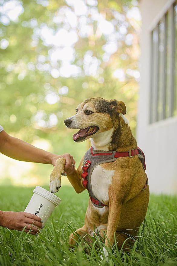 Dexas MudBuster Portable Dog Paw Cleaner, Medium, Bright White Special Edition, Premium Pet Supplies and Accessories-Mewly Pet