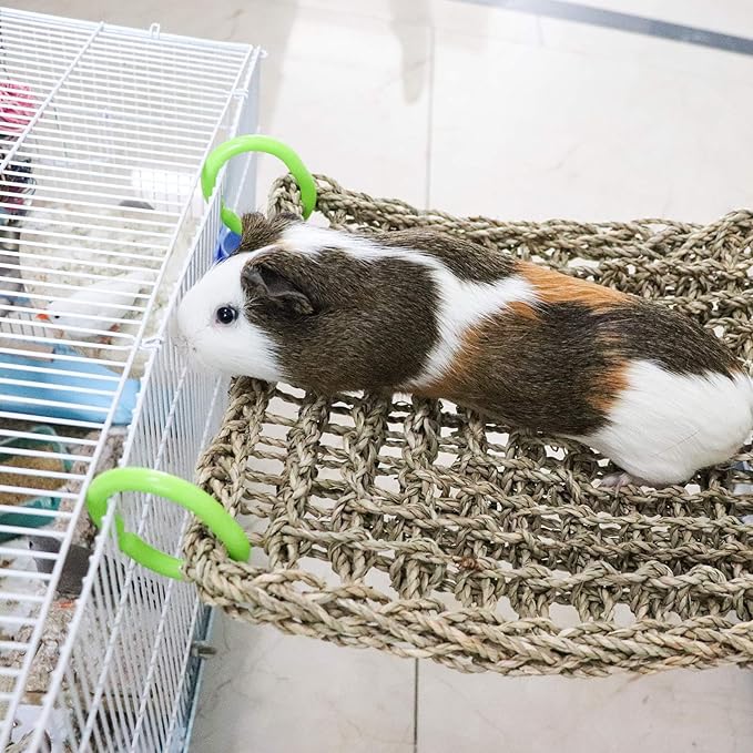16 x 12 Inches Bird Seagrass Mat, Natural Seagrass Woven Net, Bird Hammock Mat with Hooks, Bird Cage Accessories, Climbing Rope Ladder Chew Toys for Cockatiel Hamster Guinea Pig Rats Hamster Parakeet-Mewly Pet