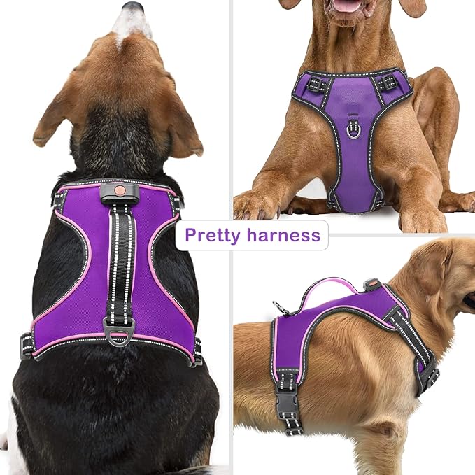 Light Up Dog Harness, No Pull LED Dog Harness with Handle, Rechargeable Lighted Safety Vest for Small Medium Large Dogs, Adjustable Soft Dog Lights for Night Walking-Mewly Pet