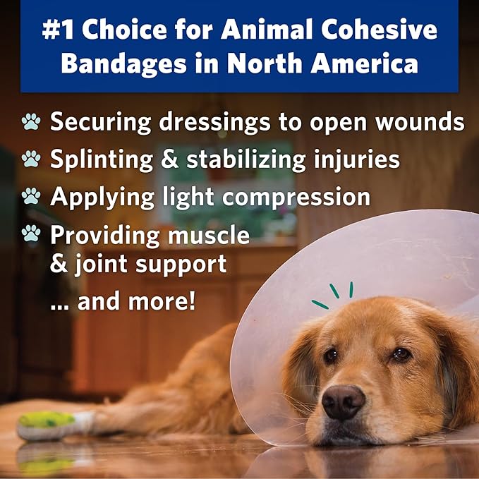 PetFlex No Chew – Flexible Self-Adhering Elastic Bandage for Wound Care – First Aid Wrap for Small Animals Like Dogs, Cats, and Other Pets - 2 inch, 6 Rolls-Mewly Pet