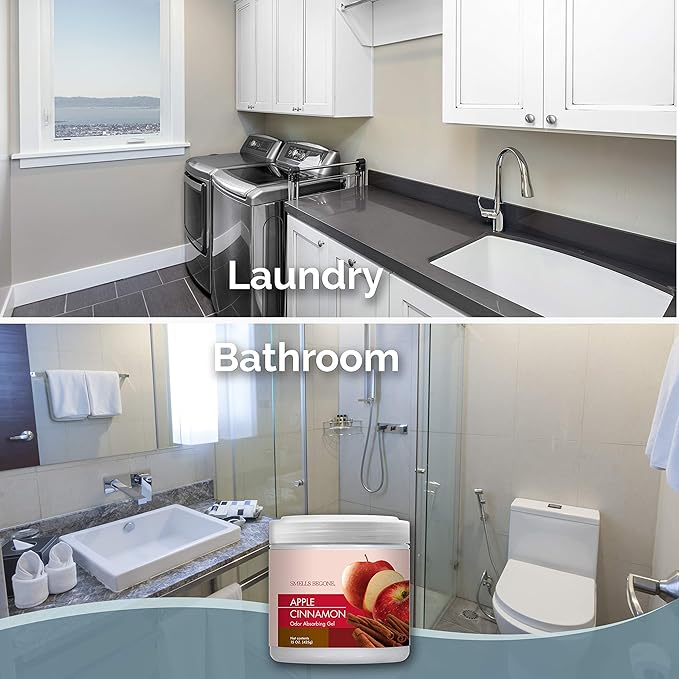 SMELLS BEGONE Air Freshener Odor Absorber Gel - 15 oz, Pack of 2 - Absorbs and Eliminates Odor in Pet Areas, Bathrooms, Cars, & Boats - Made with Essential Oils - Apple Cinnamon Scent-Mewly Pet