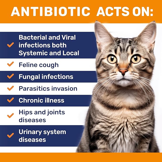 Cat Antibiotic to Help with Cough & Allergies – Antibiotics for Cats to Aid with UTIs and Digestive Moments – HIPS & Joints Support – Attractive Chicken Taste – 2 Oz Bottle-Mewly Pet