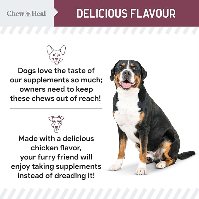 12-in-1 Multivitamin for Senior Dogs - 120 Senior Dog Vitamin and Supplement Soft Chews for Hip and Joint - Advanced Formula with Glucosamine, Omega 3,6,9, Vitamins, Probiotics - Made in The USA-Mewly Pet