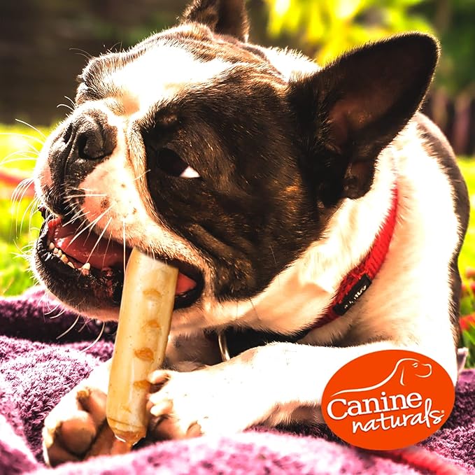 Canine Naturals Chicken Recipe Chew - Rawhide Free Dog Treats - Made from USA Raised Chicken - All-Natural and Easily Digestible - Large (2 Count) for Dogs 50-75Lb-Mewly Pet