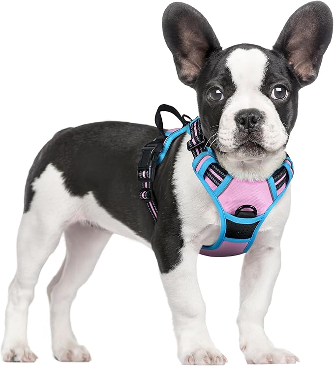 rabbitgoo Dog Harness No Pull with 2 Leash Clips, Adjustable Soft Padded, Reflective Oxford No Choke Pet Vest with Easy Control Handle for Small Dogs, Pink & Blue, S-Mewly Pet