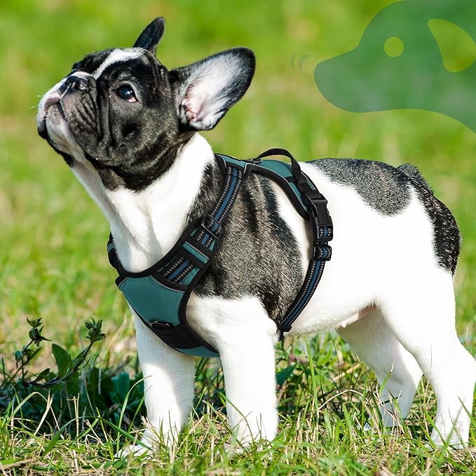 Eagloo Dog Harness Small Sized Dog, No Pull Service Vest with Reflective Strips and Control Handle, Adjustable and Comfortable for Easy Walking, No Choke Pet Harness with 2 Metal Rings, Dark Green, S-Mewly Pet