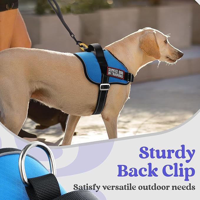 rabbitgoo Dog Harness for Small, Easy On Pet Vest with One Buckle, No Pull Adjustable Service Harness with D-Ring & Handle, Reflective for Safety Walking, Training, Blue, S-Mewly Pet