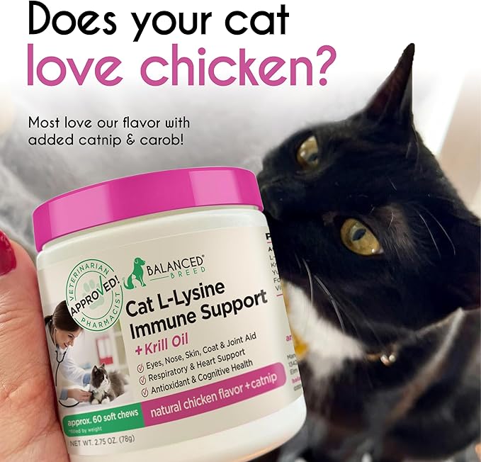 Balanced Breed L-Lysine Cats Immune Support Soft Chews Made in USA Vet-Pharmacist Approved Seasonal Allergy Relief Cat Vitamins Indoor Cats Supplements Krill Oil Asthma Relief Cat Lysine Treats NonGMO-Mewly Pet