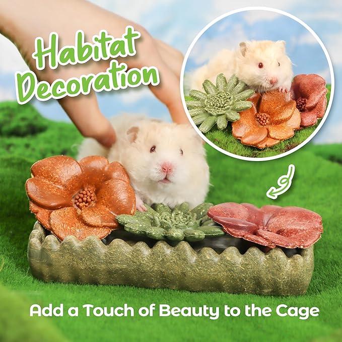 TEEWY 4PCS Guinea Pig Chew Toys, Prevent Teeth Overgrowth, Natural Vegetables and Timothy Grass, Hamster Chew Toys, Guinea Pig Toys, Chinchilla Toys, Grass Patch & Flowers-Mewly Pet