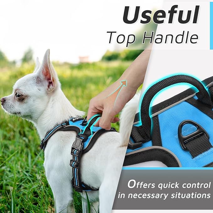 Eagloo Small Dog Harness No Pull, Service Vest with Reflective Strips and Control Handle, Adjustable and Comfortable for Walking, No Choke Pet Harness with 2 Metal Rings, Sky Blue, XS-Mewly Pet