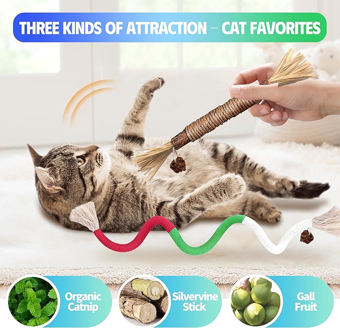Cat Toys Chew Rope & Silvervine Sticks for Bored Indoor Adult Cats, 4Pcs Interactive Catnip Toys for Cats with Refillable Natural Catnip Bag for Teeth Cleaning-Mewly Pet