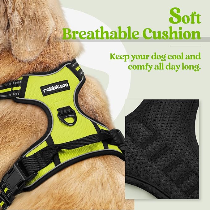 rabbitgoo Dog Harness No Pull with 2 Leash Clips, Adjustable Soft Padded, Reflective Oxford No Choke Pet Vest with Easy Control Handle for Medium Sized Dogs, Green, M-Mewly Pet