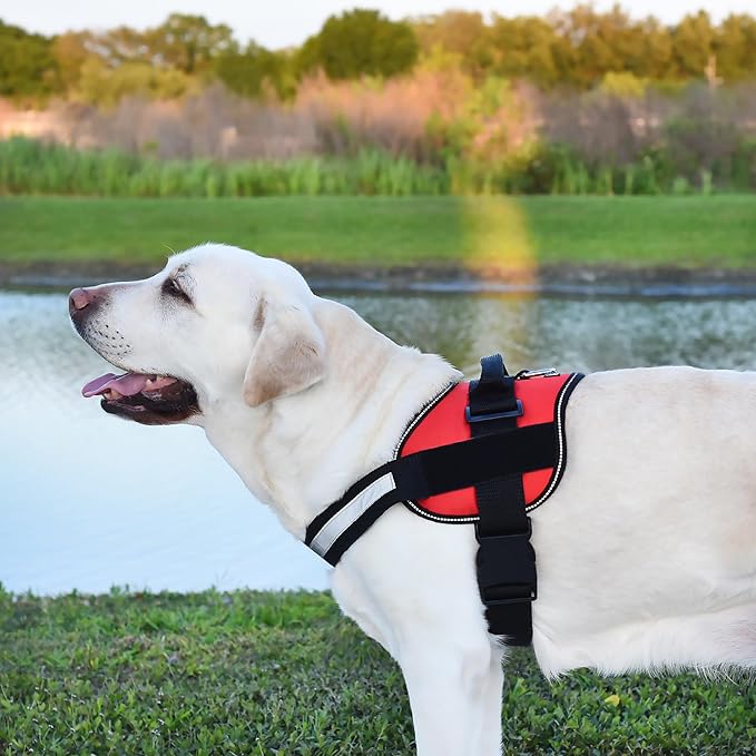 Dogline Dog Harness, Reflective No-Pull Adjustable Vest with Handle for Walking, Training, Service Breathable No - Choke Harness for Small, Medium or Large Dogs Room for Patches Girth 18 to 24 in Red-Mewly Pet