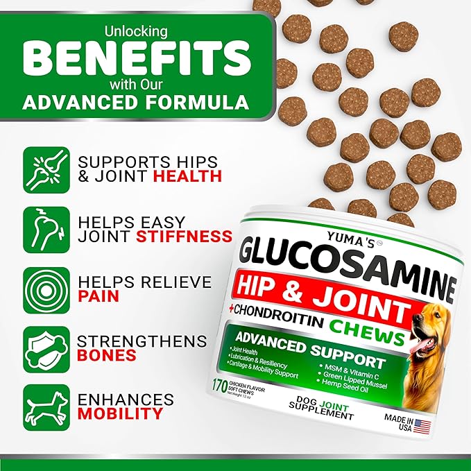 YUMA'S Glucosamine for Dogs - Hip and Joint Supplement for Dogs - 170 Ct - Glucosamine Chondroitin Chews - Joint Pain Relief Supplement with MSM - Advanced Health - Mobility Support - Made in USA-Mewly Pet