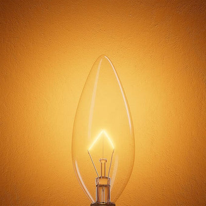 20-Pack E12 Candelabra Light Bulbs 40W Warm White 2500K, 380 Lumen Dimmable Chandeier Light Bulbs for Ceiling Fan, Pendants or Outdoor, B10 Clear Incandescent Candle Bulbs