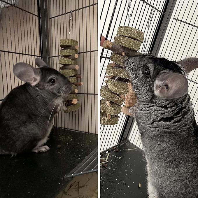 PINVNBY Bunny Chew Toys for Teeth Natural Organic Fruitwood Rabbits Cage Molar Sticks for Chinchillas, Guinea Pigs, Hamsters, Parrots and Other Small Pet Chewing Improve Dental Health-Mewly Pet