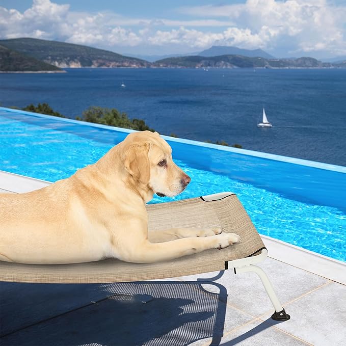 Veehoo Elevated Dog Bed for Outdoor, Cooling Waterproof Raised Dog Cots Beds for Large Dogs, Curved Off Ground Pet Hammock Cot Lifted for Outside, up to 85lbs, White Legs, Beige 42"-Mewly Pet