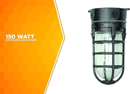 Woods L1706BLK Vandal Resistant 150W Incandescent Security Light, Ceiling Mount, Hammered Black