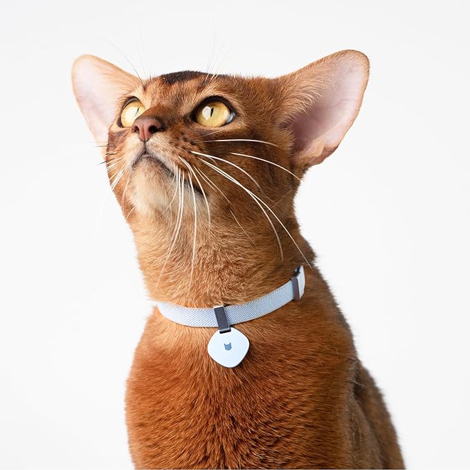 Safety Cat Collar and ID Tag Set - Elastic Quick Release, Non Breakaway Cat Collar Personalized Anodized Aluminum Engraved Pet Name Tag, Lightweight for Kitten Small Large Cats-Mewly Pet