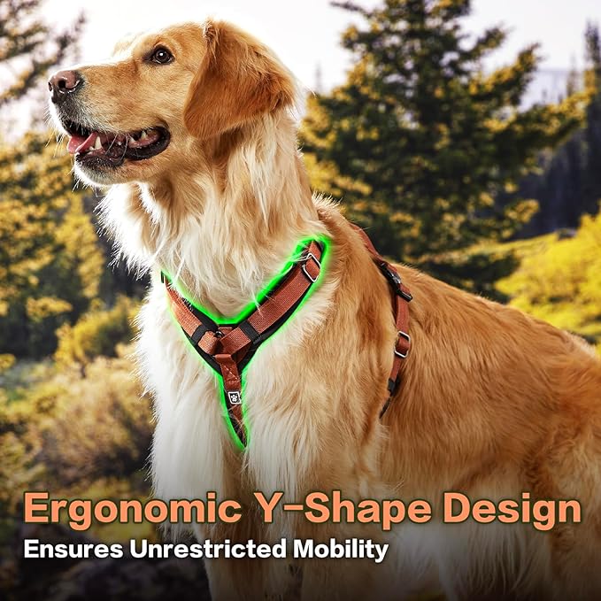 CLEPAWS Dog Harness for X-Large Dogs, No Pull Dog Harness Easy Walk with Metal Hardware, Ergonomic Y-Shaped Design, Soft Padding, Padded Handle, Durable High-Tensile Nylon (Canyon Red, XL)-Mewly Pet